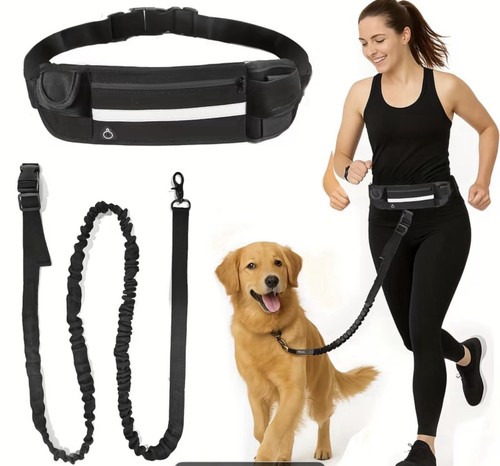 Laisse mains libres - , chien