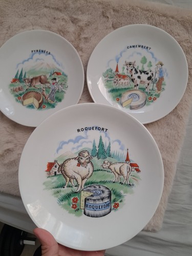 Spcg gien lot assiettes - 3,