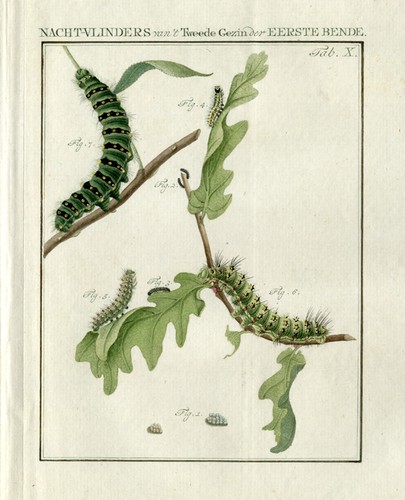 Antique print small - antique, print-small