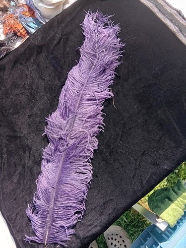 Plume autruche époque - plume, 'époque