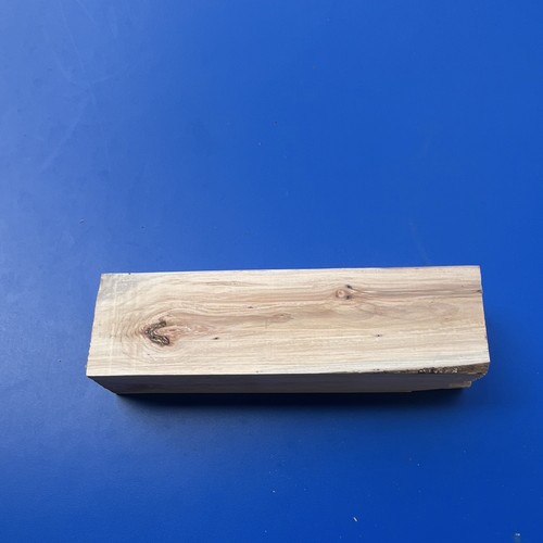 Plaque bois brut bouleau