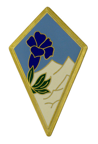 Insigne militaire military - insigne,