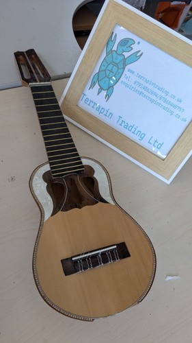Corps charango terrapin - corps,
