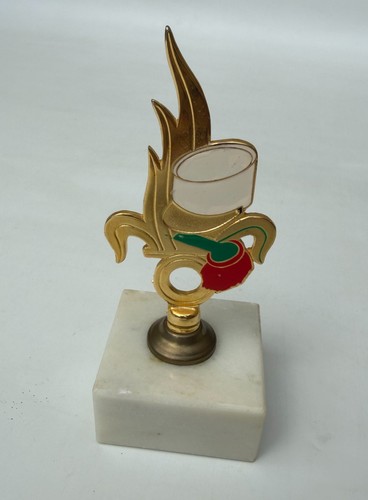 Insigne légion étrangère