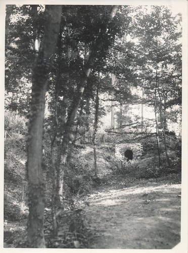 Bois cucufa 1935 - bois, de