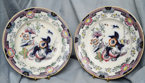 Paire assiette faisan ridgway - faisan,,