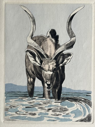 Paul jouve gravure animaliere - jouve,