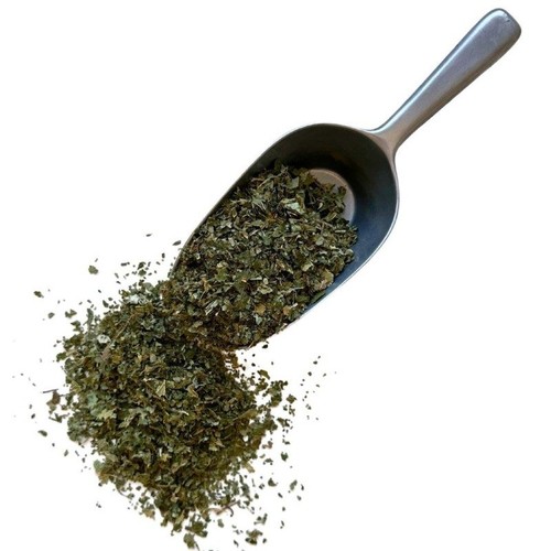 Tisane noisetier - tisane,
