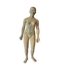Acupuncture 18" Female Model Doll Human Body Chinese Medicine Teaching No Base