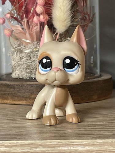 Petshop chien danois dogue - 💖petshop,