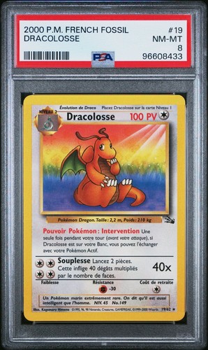 French dracolosse non - dracolosse, non-holo