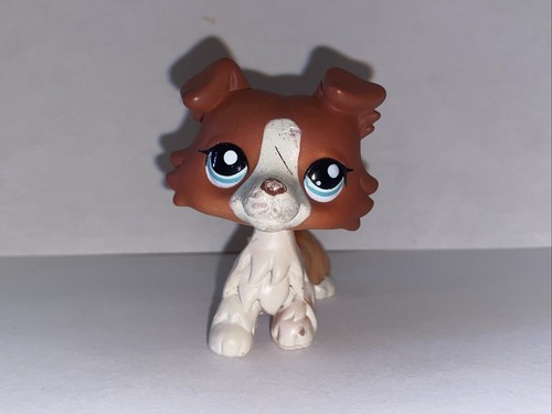 Petshop chien colley - colley, #1542