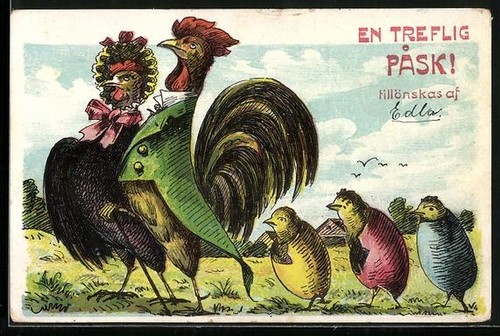 Coq poule avec trois - et,