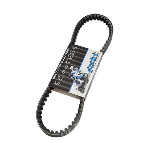 Courroie polini runner - , typhoon
