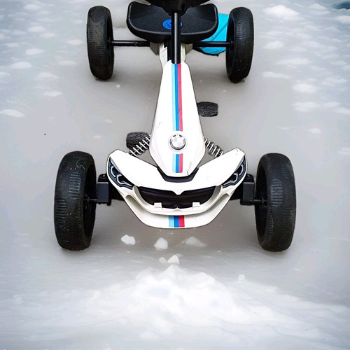 Berg bmw performance pedal - berg, m