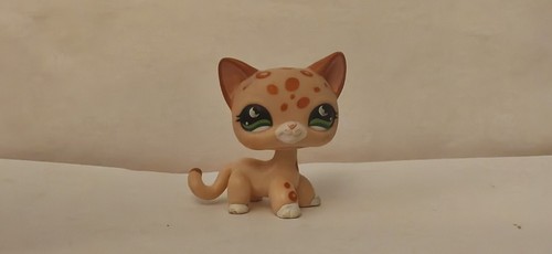 Petshop european cat 852 - petshop,