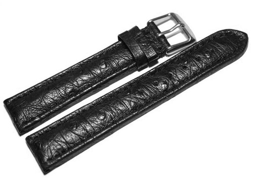 Bracelet montre autruche - montre,