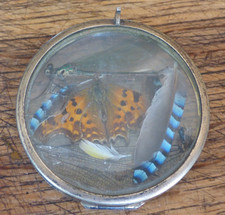 boîte circulaire métal argenté verre biseauté cabinet de curiosité