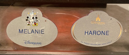 Disneyland paris nametag - 2,