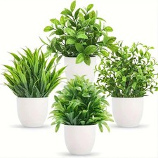 Décoration Plante