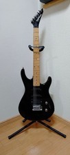 Washburn 80s Custom Electric