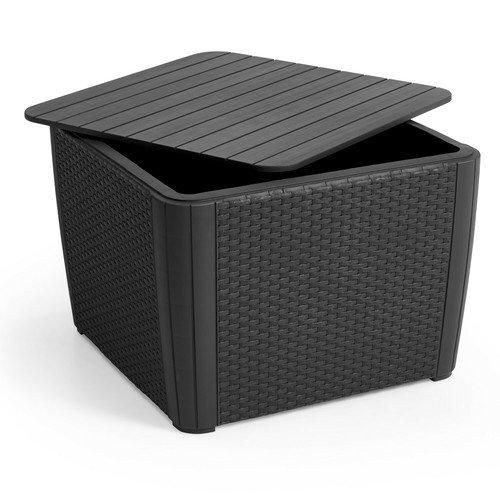 Table basse jardin pouf - table,