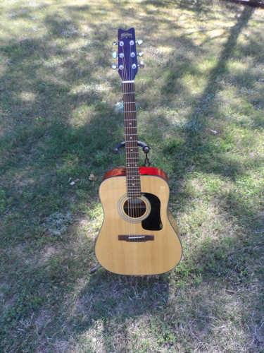 Washburn d10 acoustic - washburn,