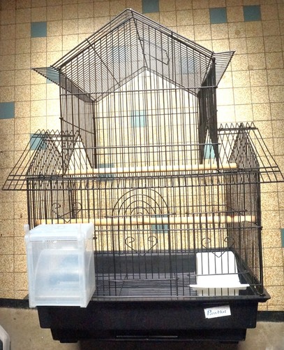 Cage oiseaux pawhut - à,