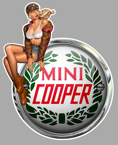 Mini cooper left pin gauche - cooper,