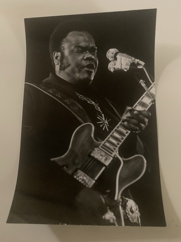 Guitariste freddie king - guitariste,