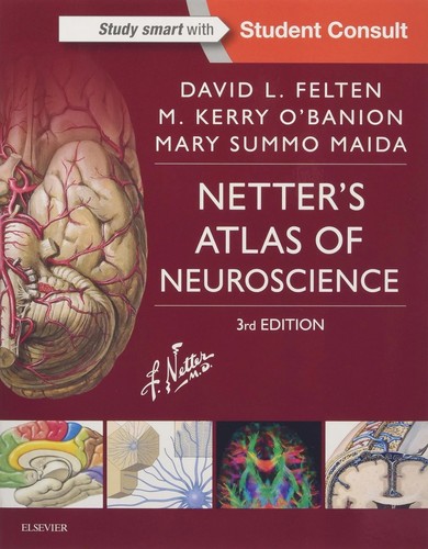 Netter atlas of - netter's,