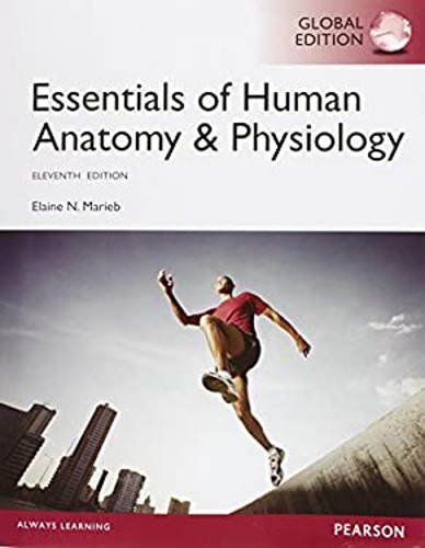 Essentiels anatomie humaine - essentiels, d'anatomie