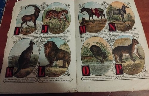Lot livres enfants - 10,
