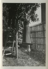 ANTIQUE PHOTO - VINTAGE