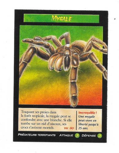Carte créatures étranges - étranges, et