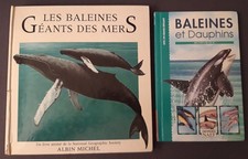 Les baleines, géants des mers