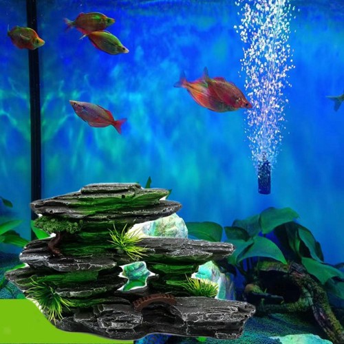 Paysage rocheux aquarium - rocheux, d'aquarium