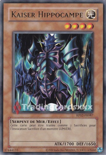 Kaiser hippocampe - hippocampe,