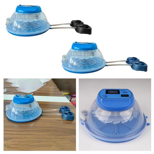 Incubateurs oeufs pour - incubateurs,