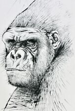 OVIDE Métamorphoses illustré