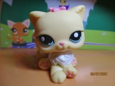 Petshop Chat Persan #1503