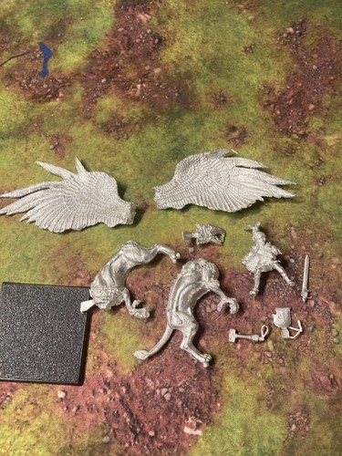 Warhammer fantasy elector - -,