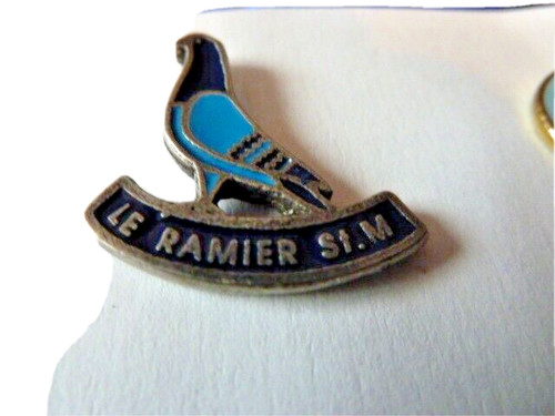 Pin pigeon le - pin's,