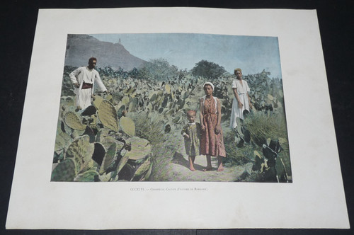 Photo imprimee 1895 colonies - photo,