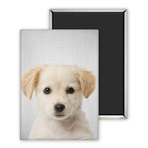 Chiot golden retriever magnet - chiot, retriever-magnet