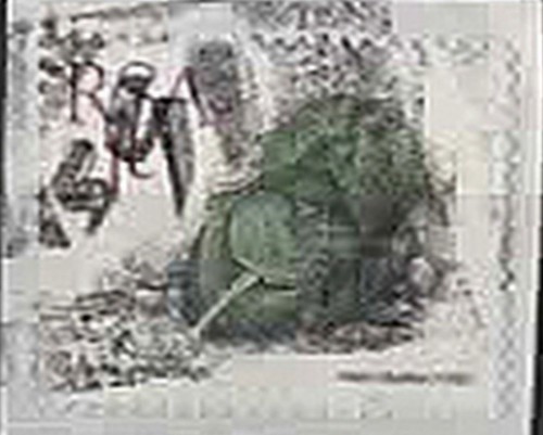 1990 afrique sud plantes - sud.,