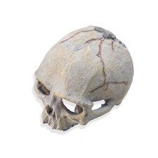 Résine Crâne Tête Figure