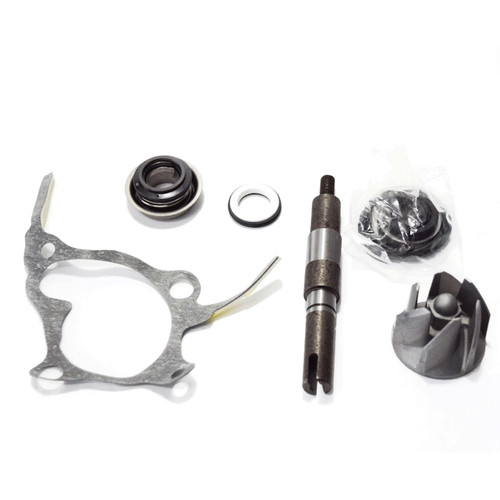 Honda foresight 250 - honda, 4t