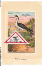 AUXP1-0004-BIRDS-MAP-MAXIMUM - WHITE STILTING