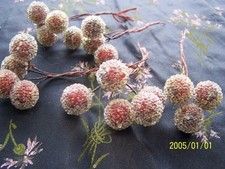 Antique bouquet of frosted red balls for creating hats, brooches... No. 469